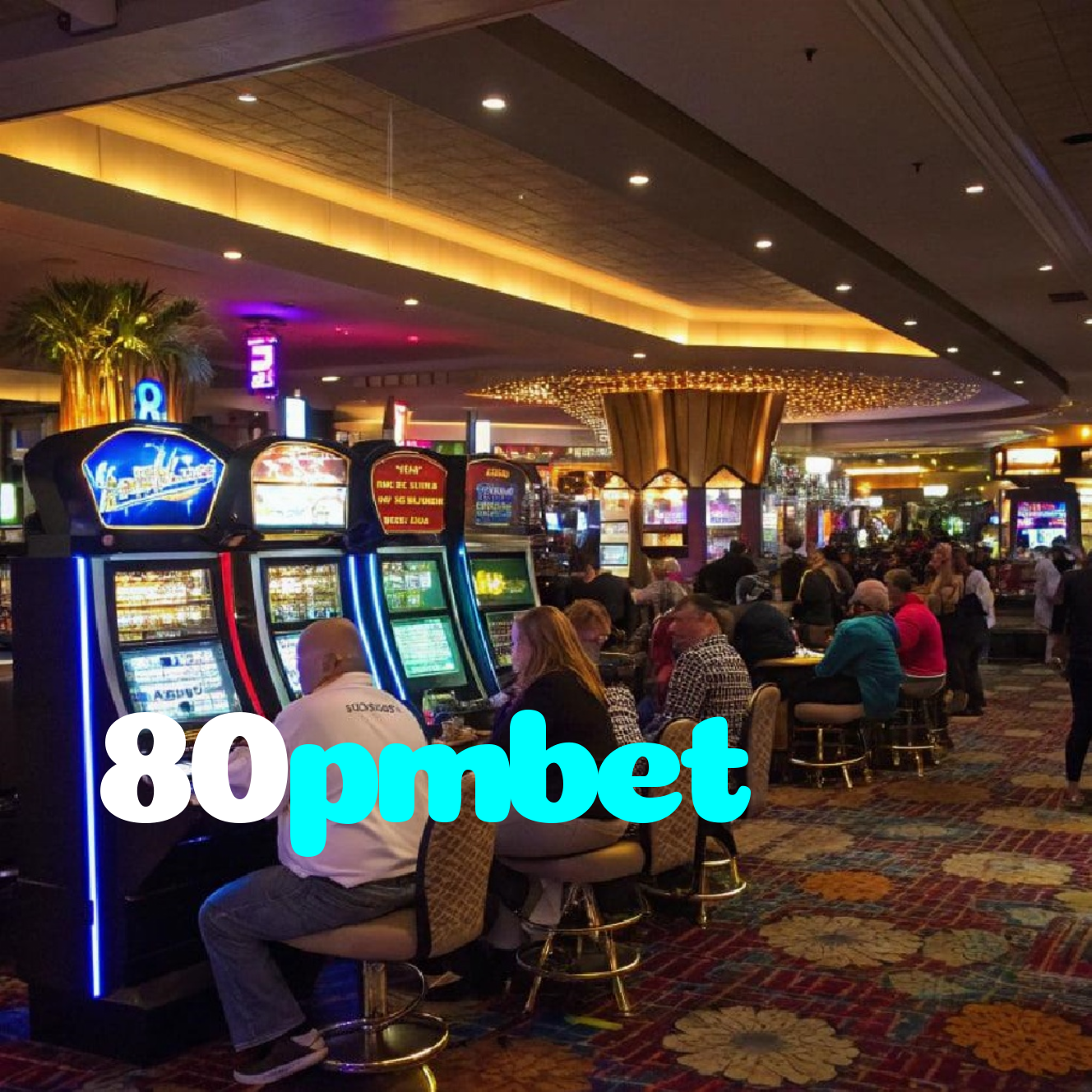 80pmbet